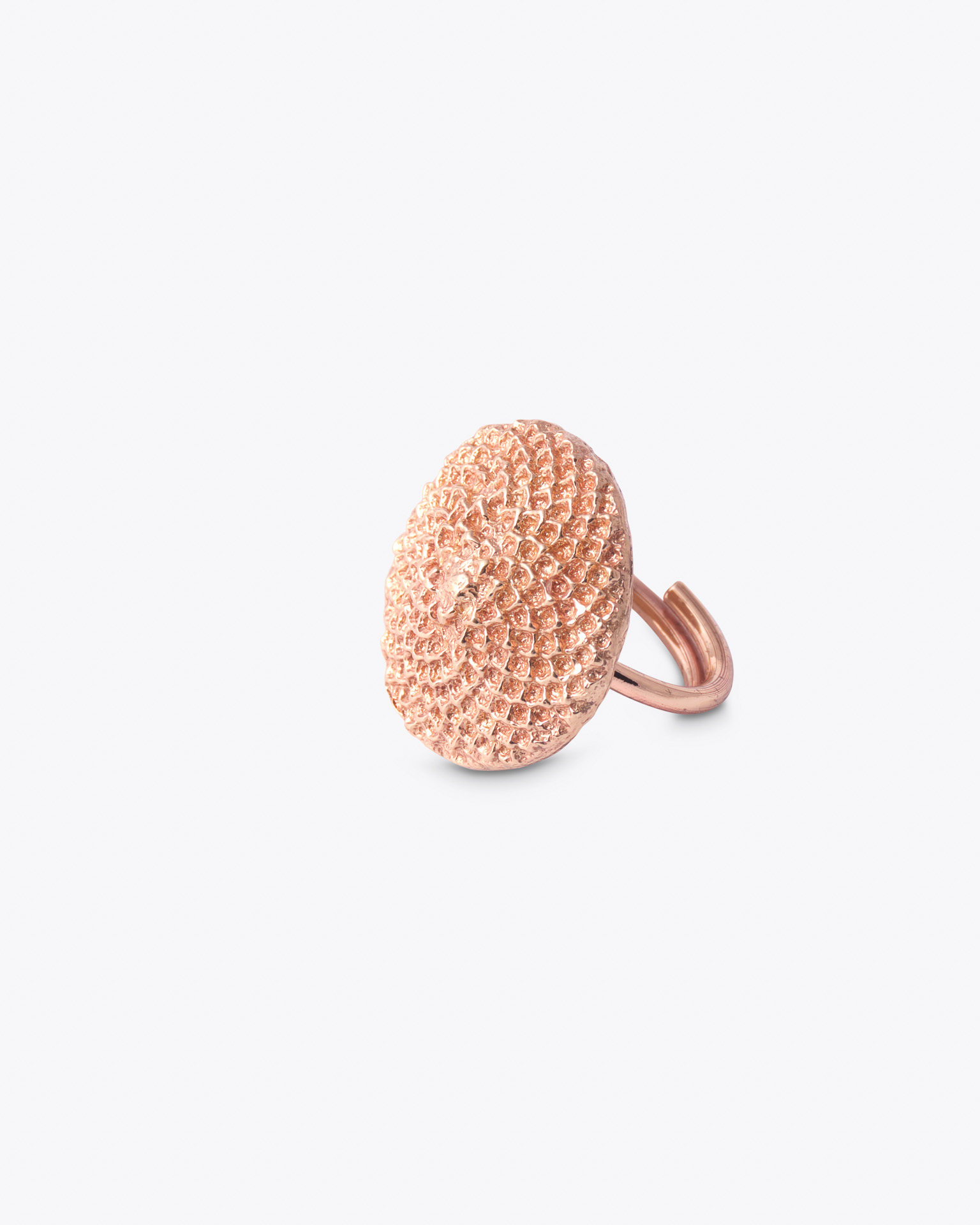 Dame Ring-AB2_Lres